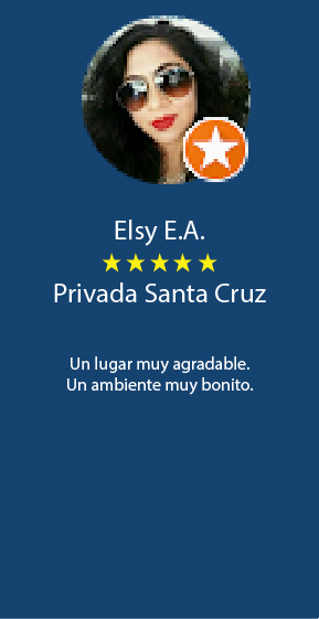 Elsy EA-100